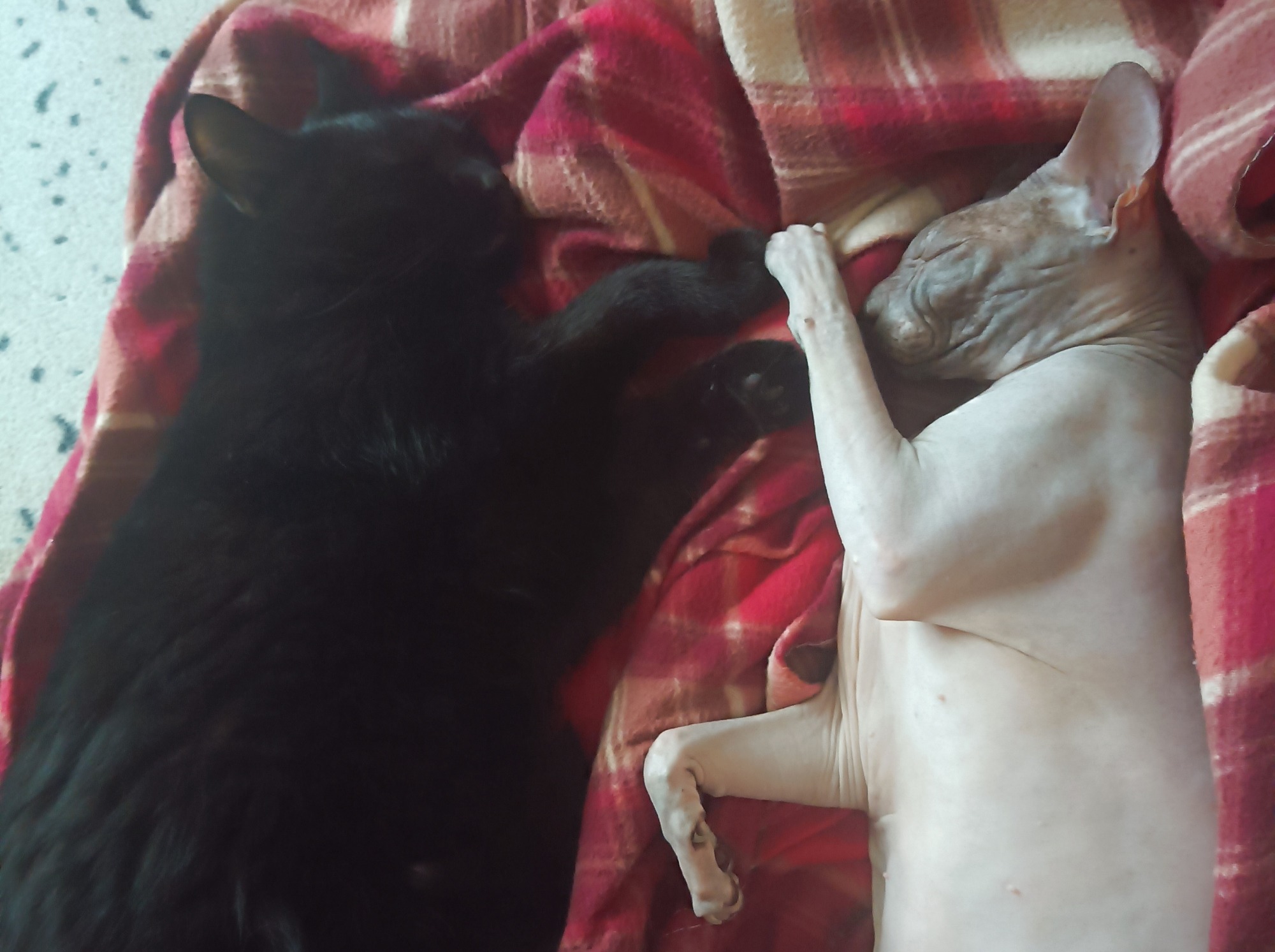 Иллюстрация к публикации