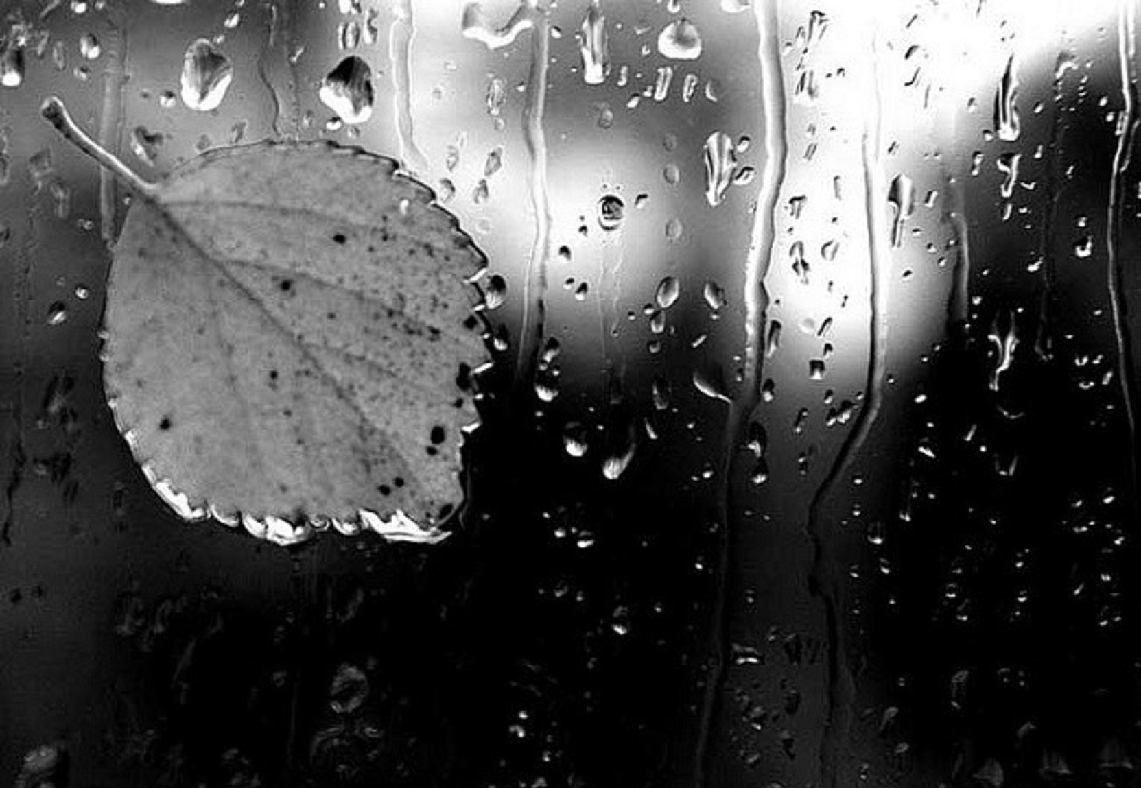 Иллюстрация к публикации