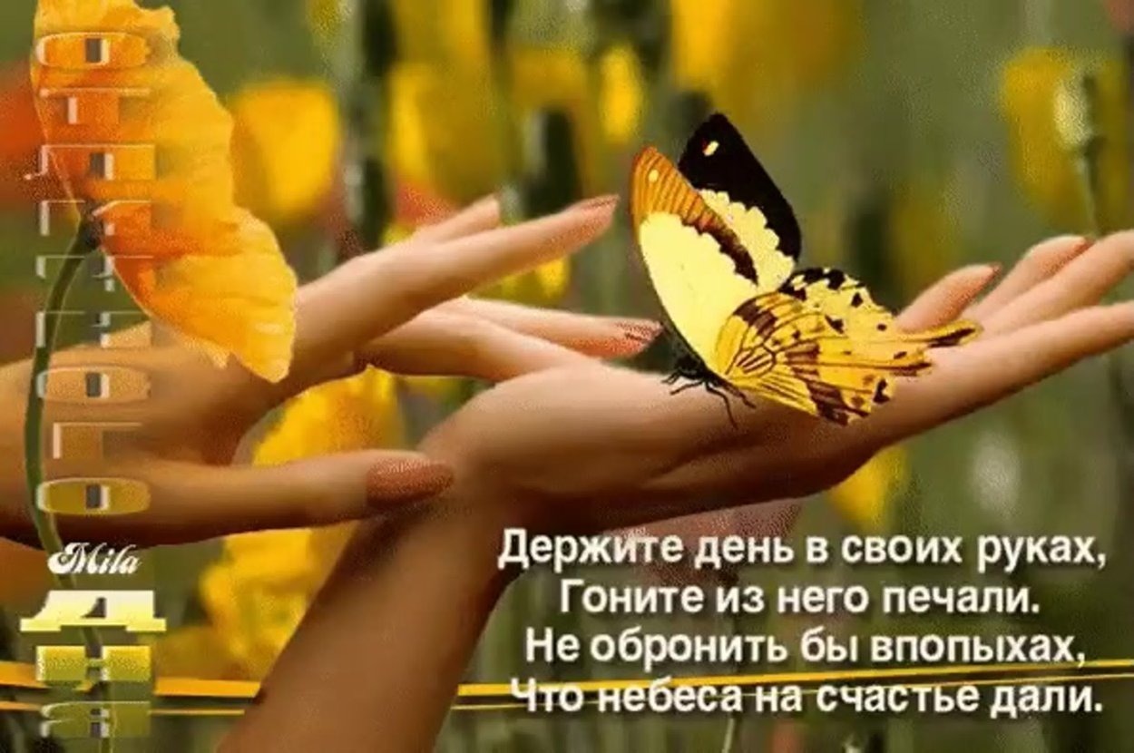 Иллюстрация к публикации
