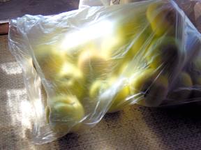 blob