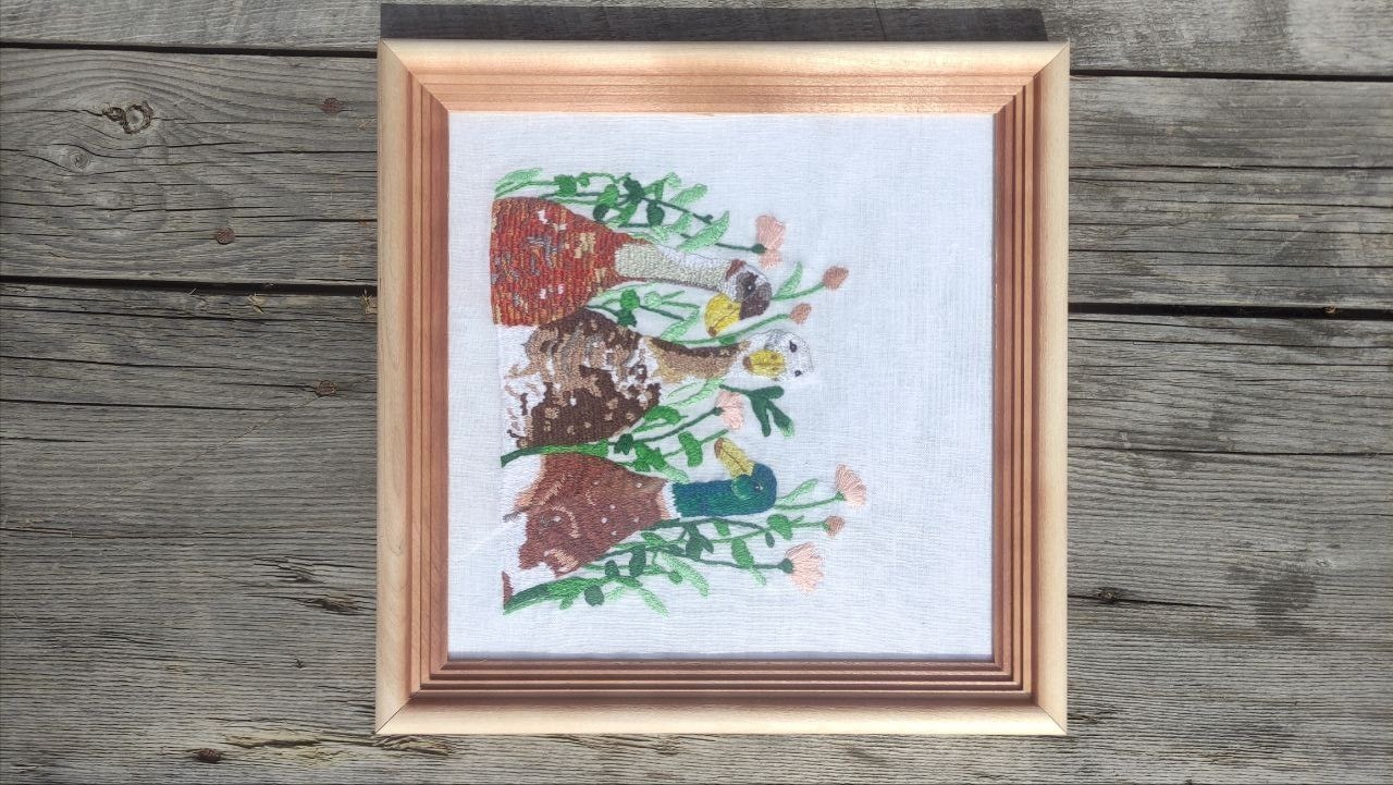 Иллюстрация к публикации