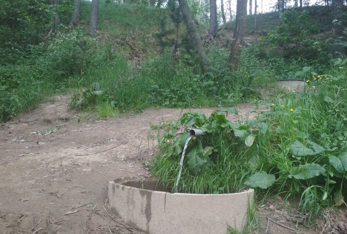 Иллюстрация к публикации