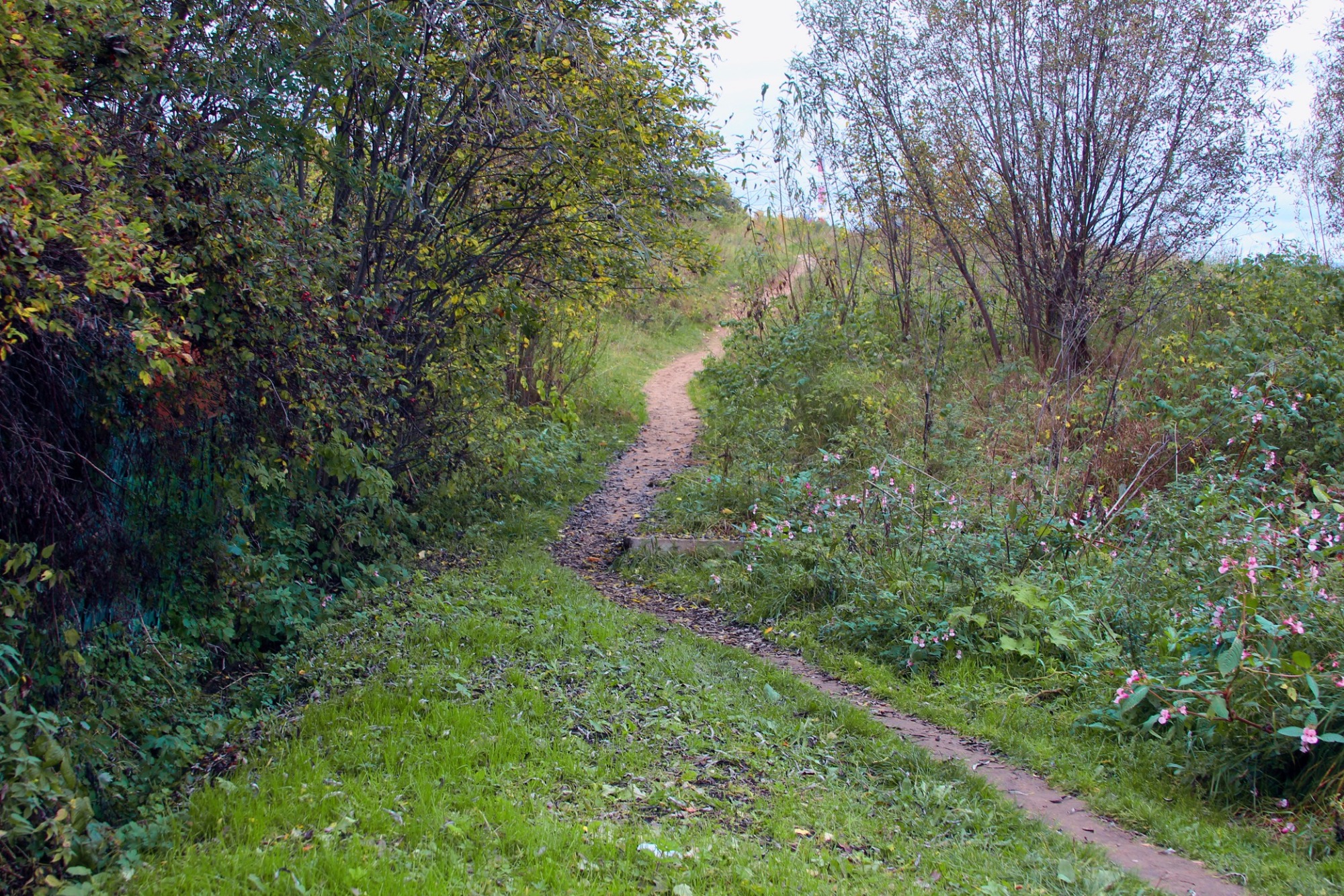 Иллюстрация к публикации