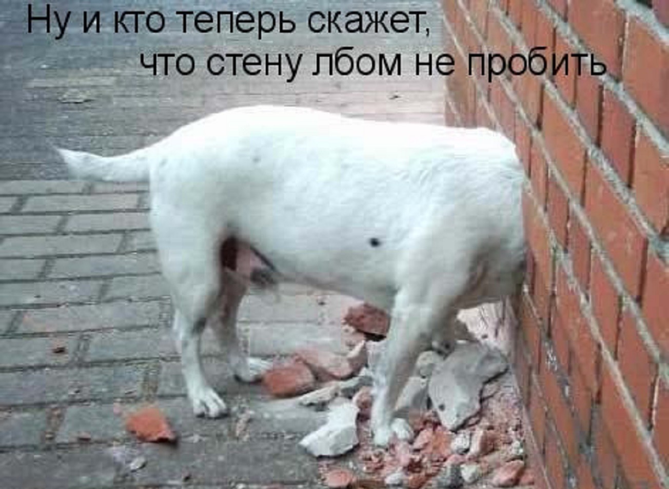 Иллюстрация к публикации