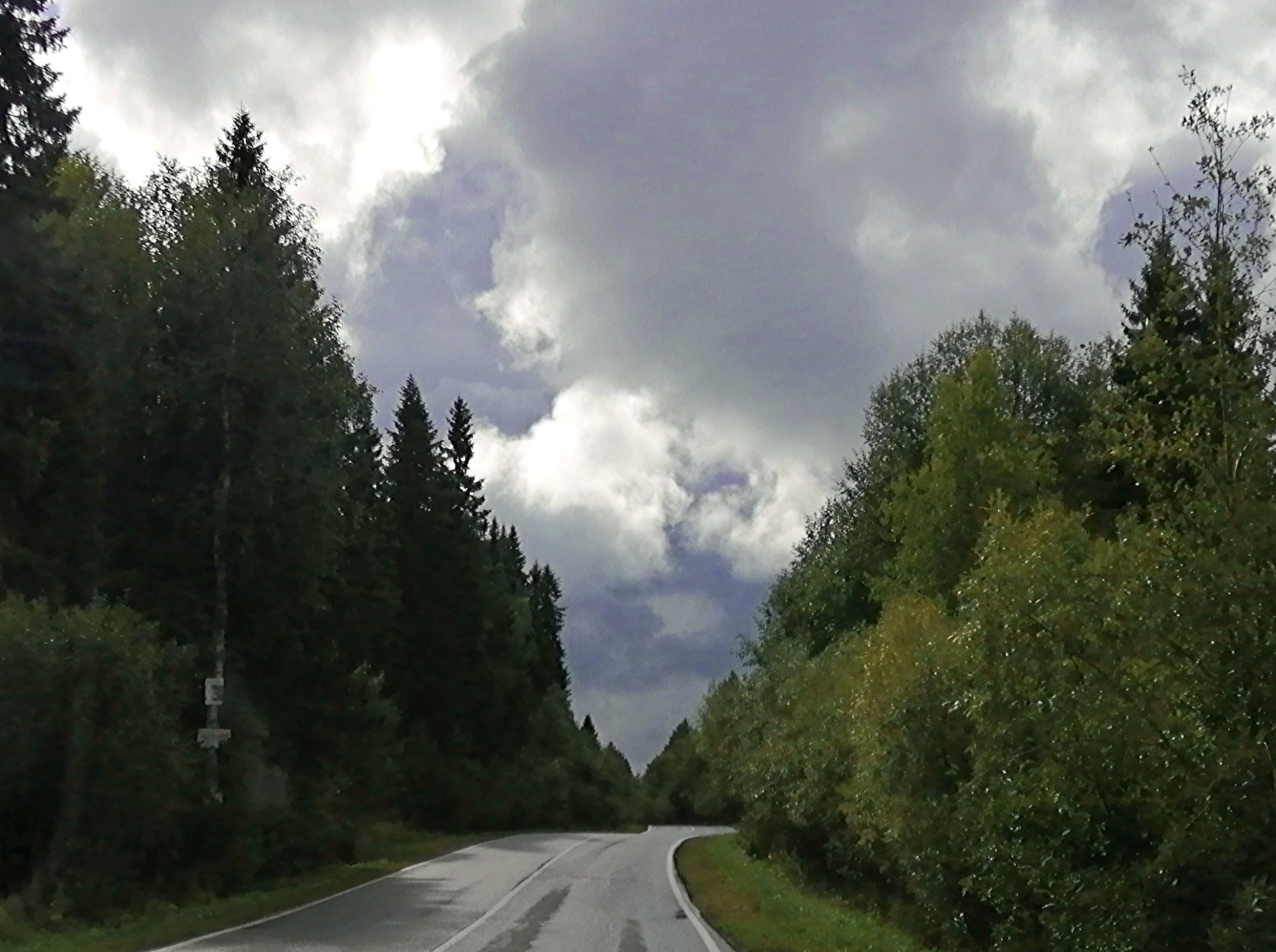 Иллюстрация к публикации