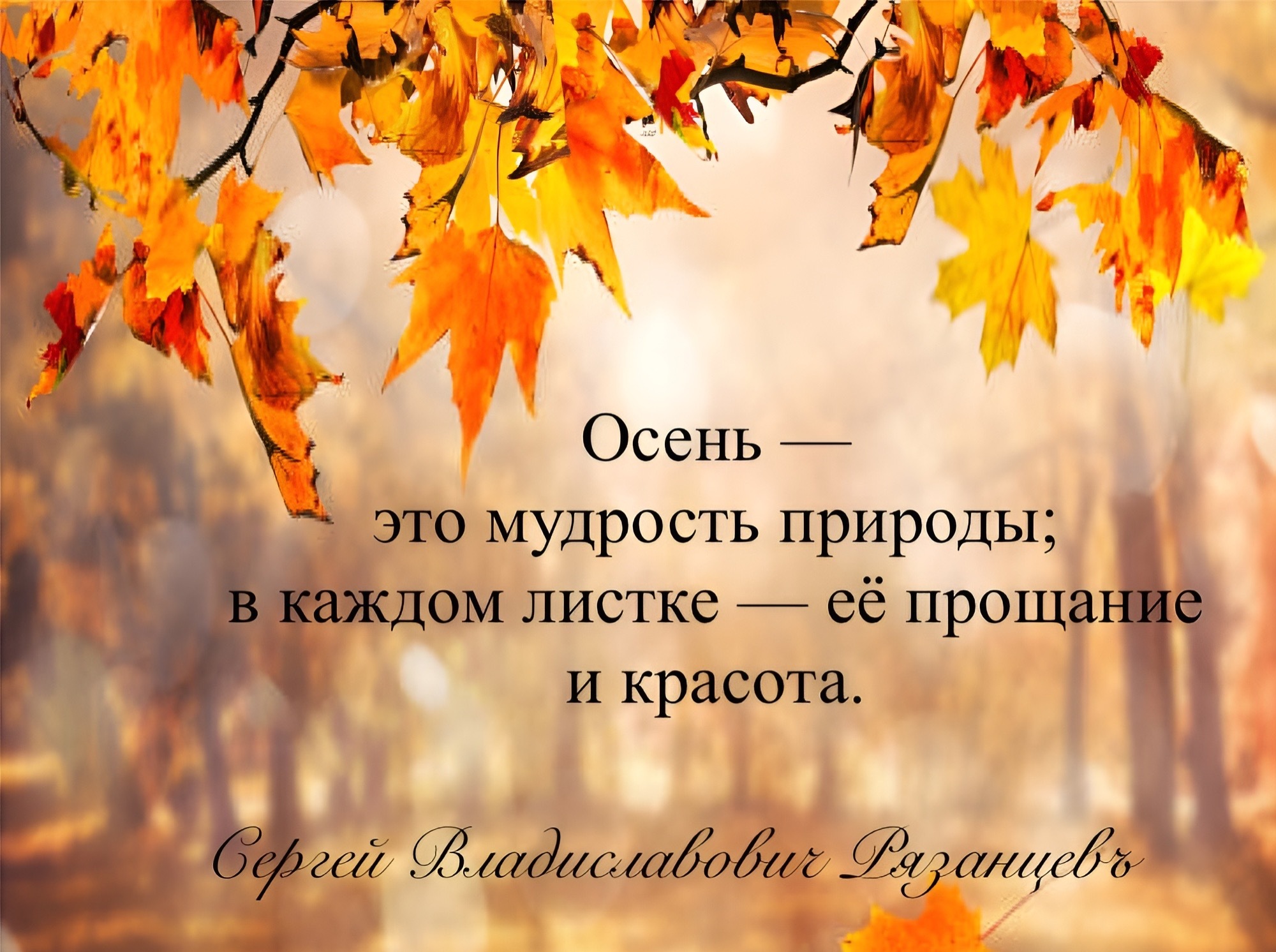 Иллюстрация к публикации