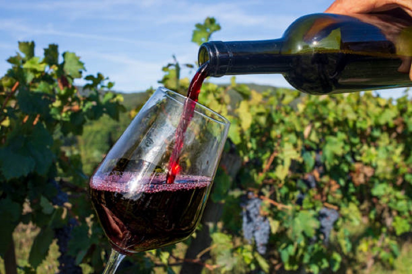 Иллюстрация к публикации