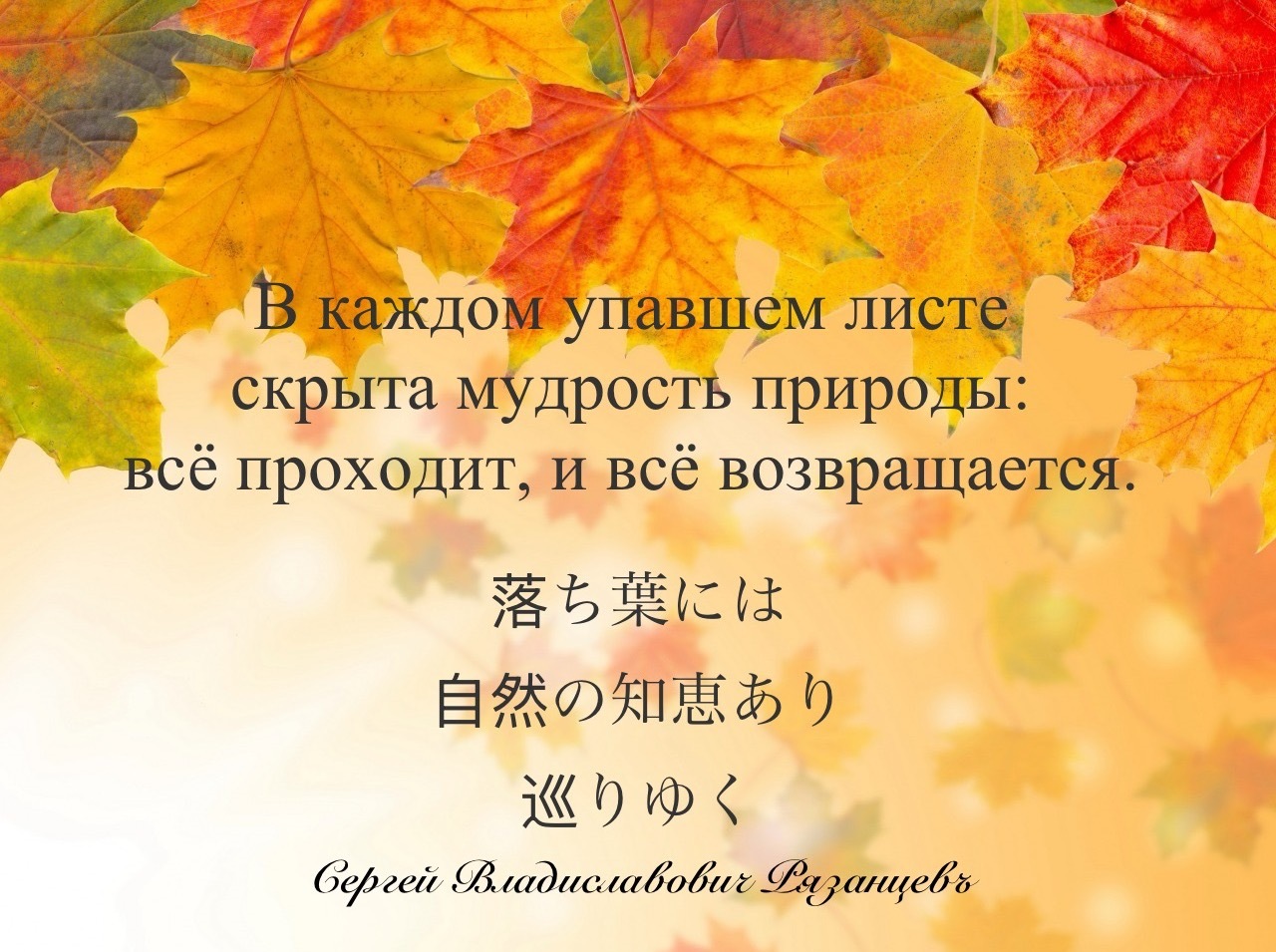 Иллюстрация к публикации