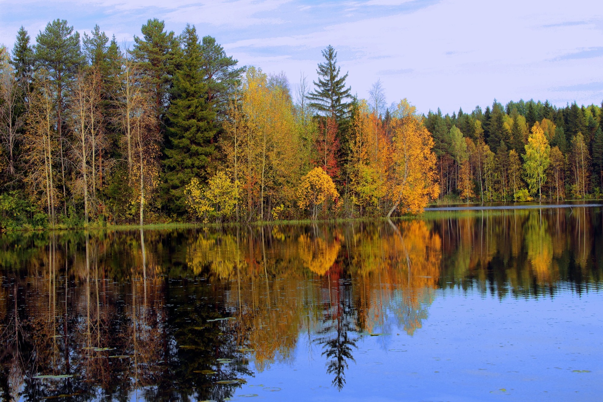 Иллюстрация к публикации