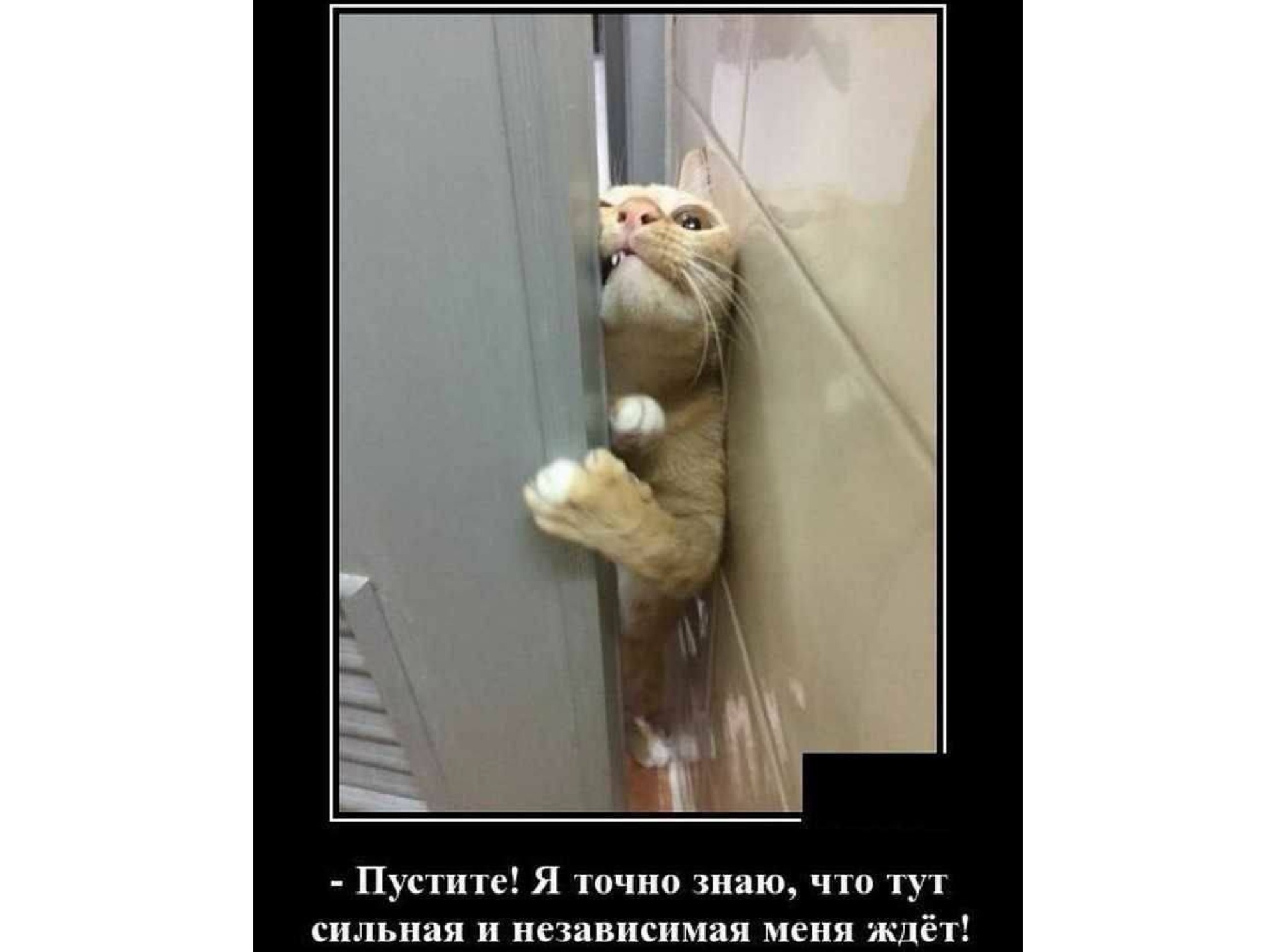 Иллюстрация к публикации
