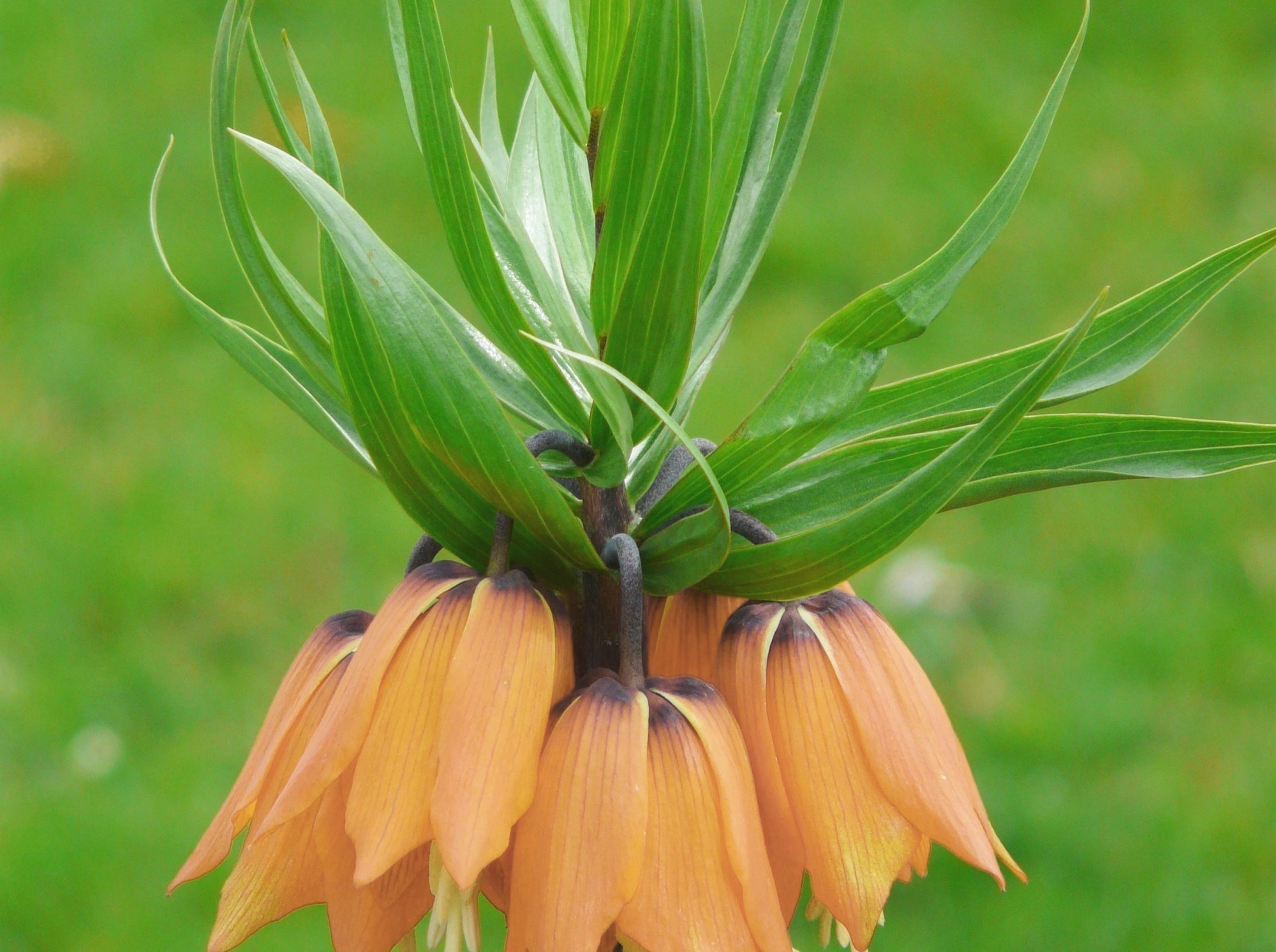 Иллюстрация к публикации