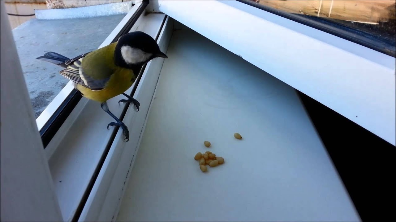 Иллюстрация к публикации