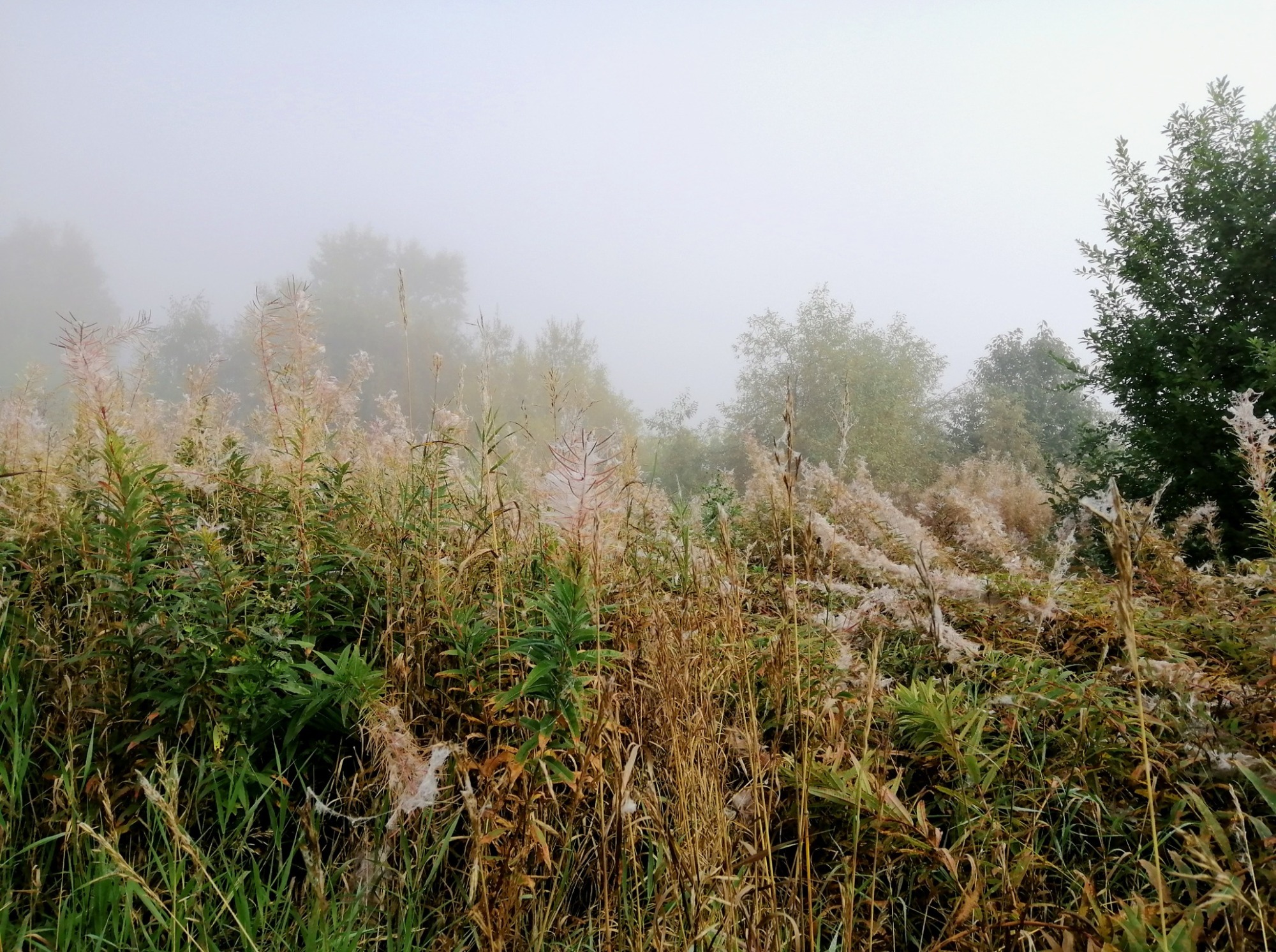 Иллюстрация к публикации