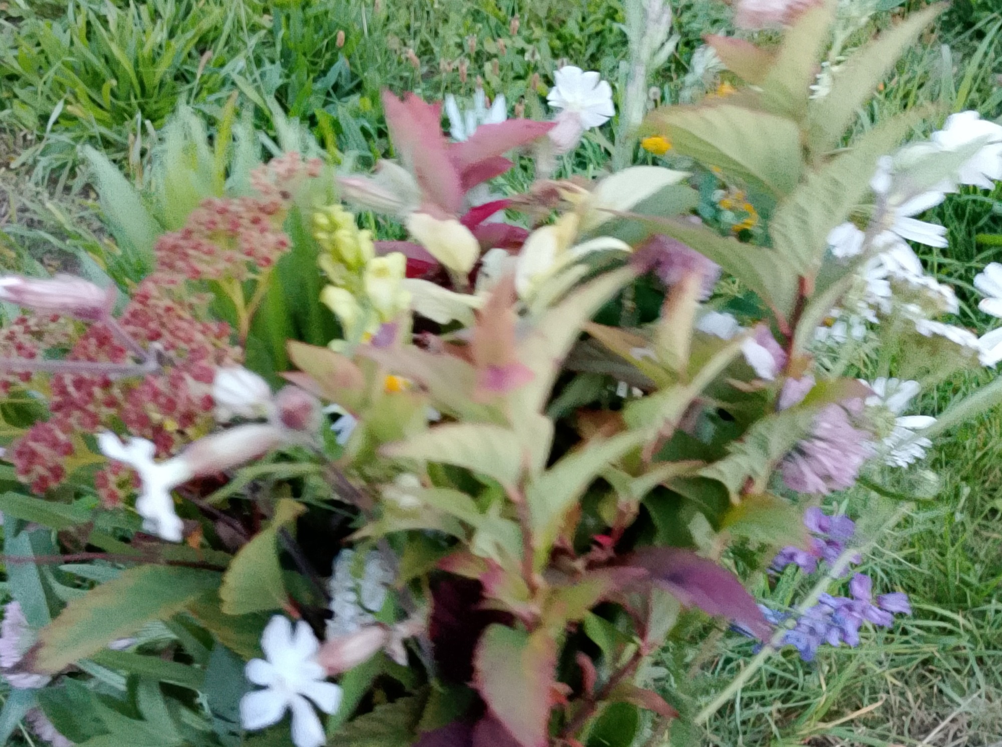 Иллюстрация к публикации