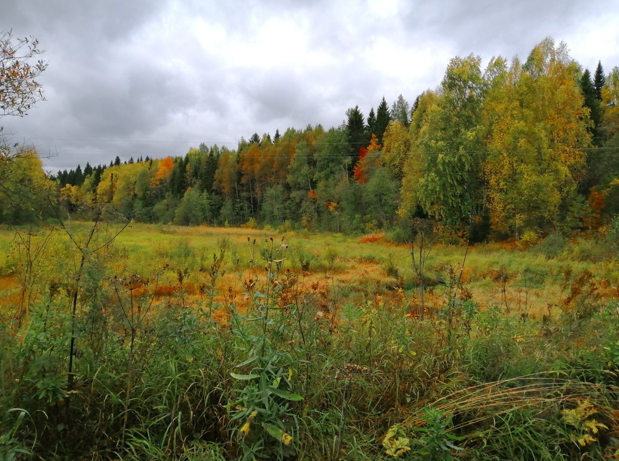 Иллюстрация к публикации