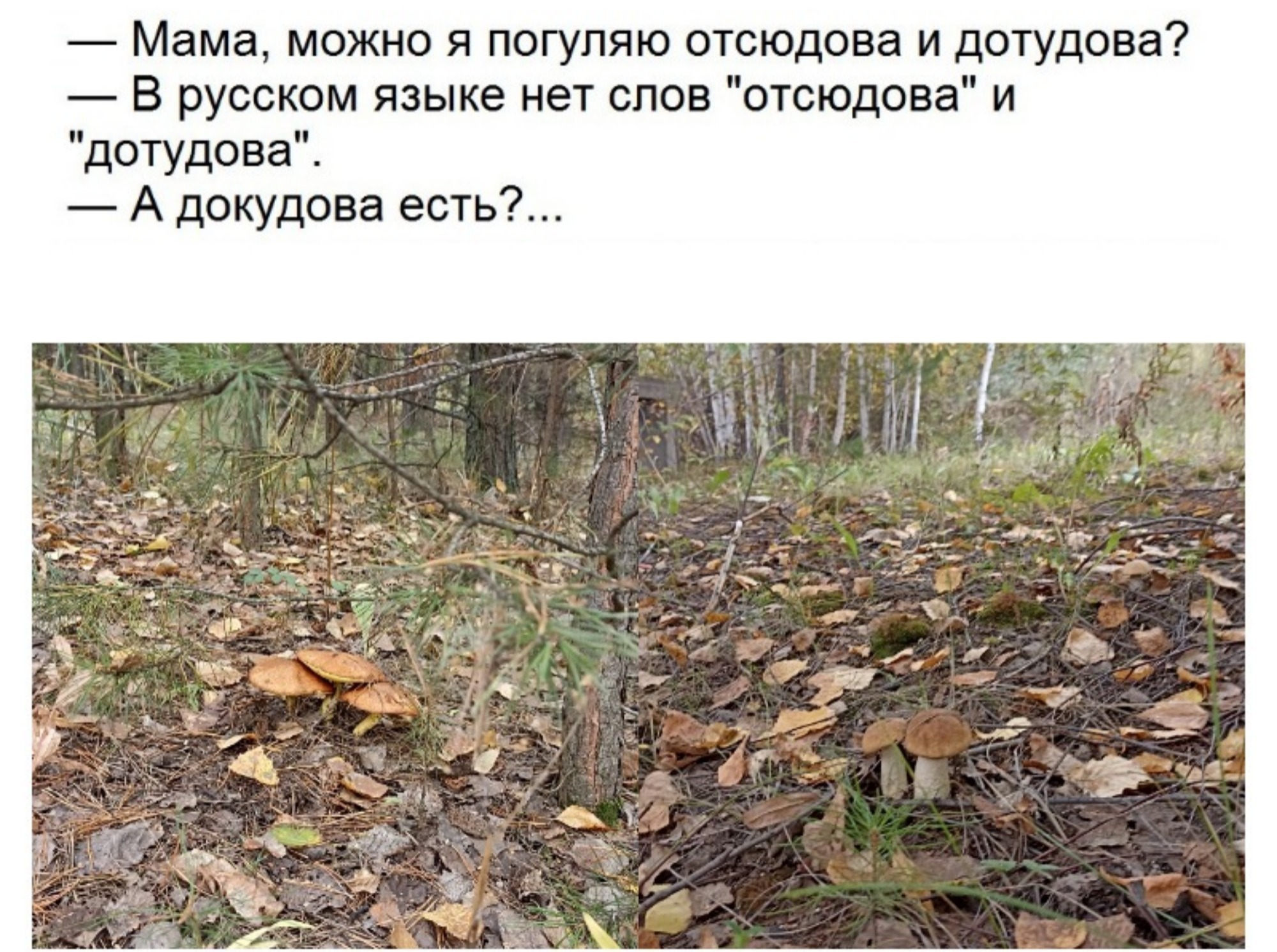 Иллюстрация к публикации