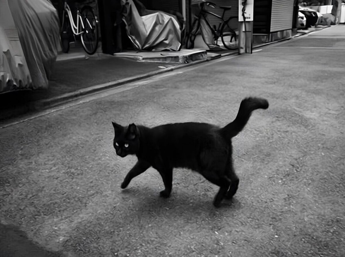 Иллюстрация к публикации