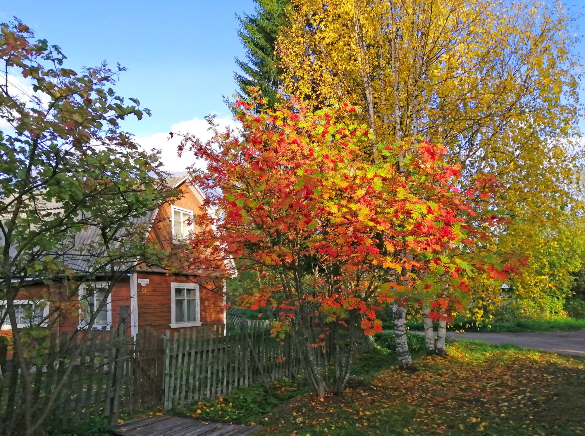 Иллюстрация к публикации