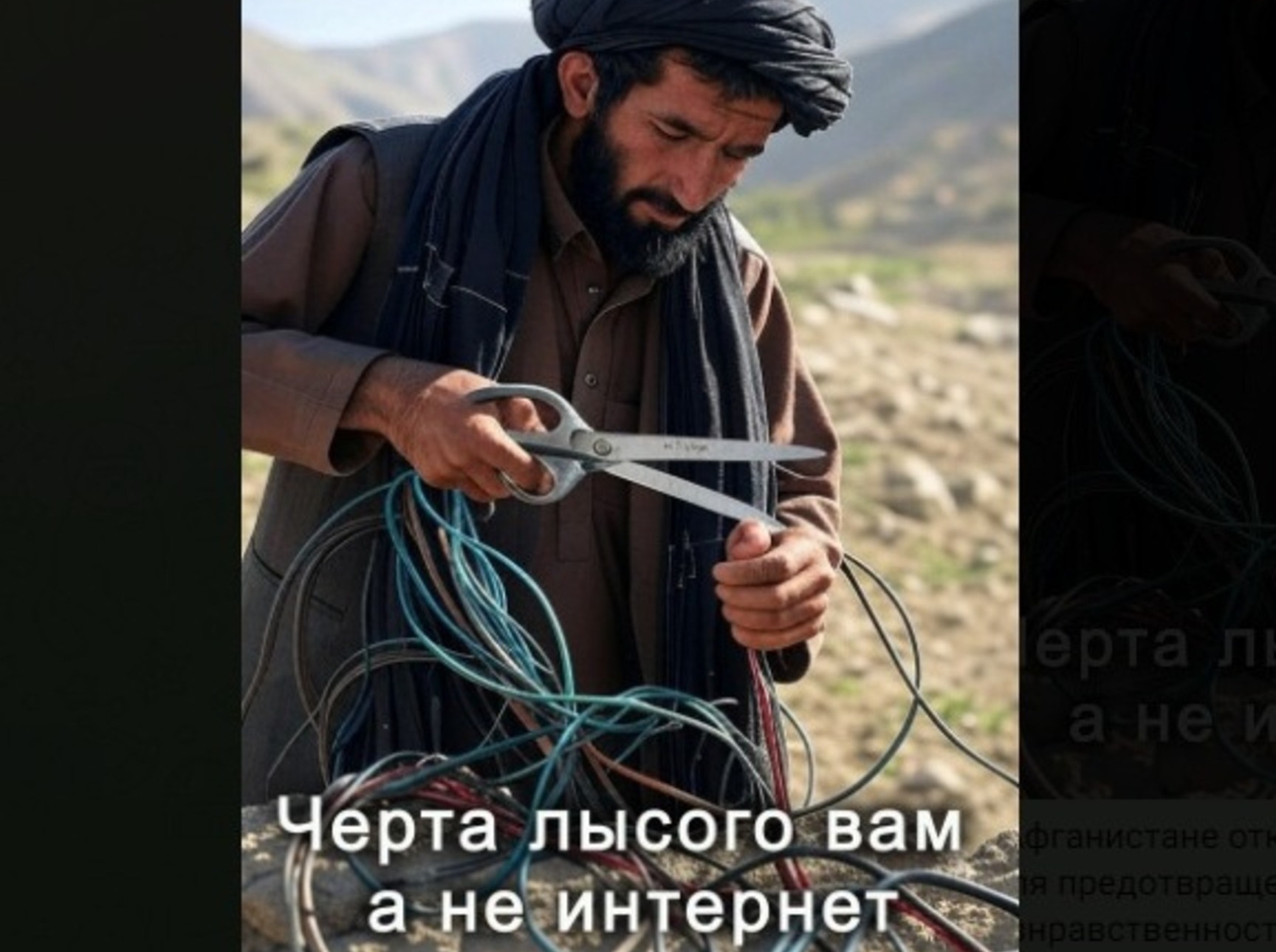 Иллюстрация к публикации