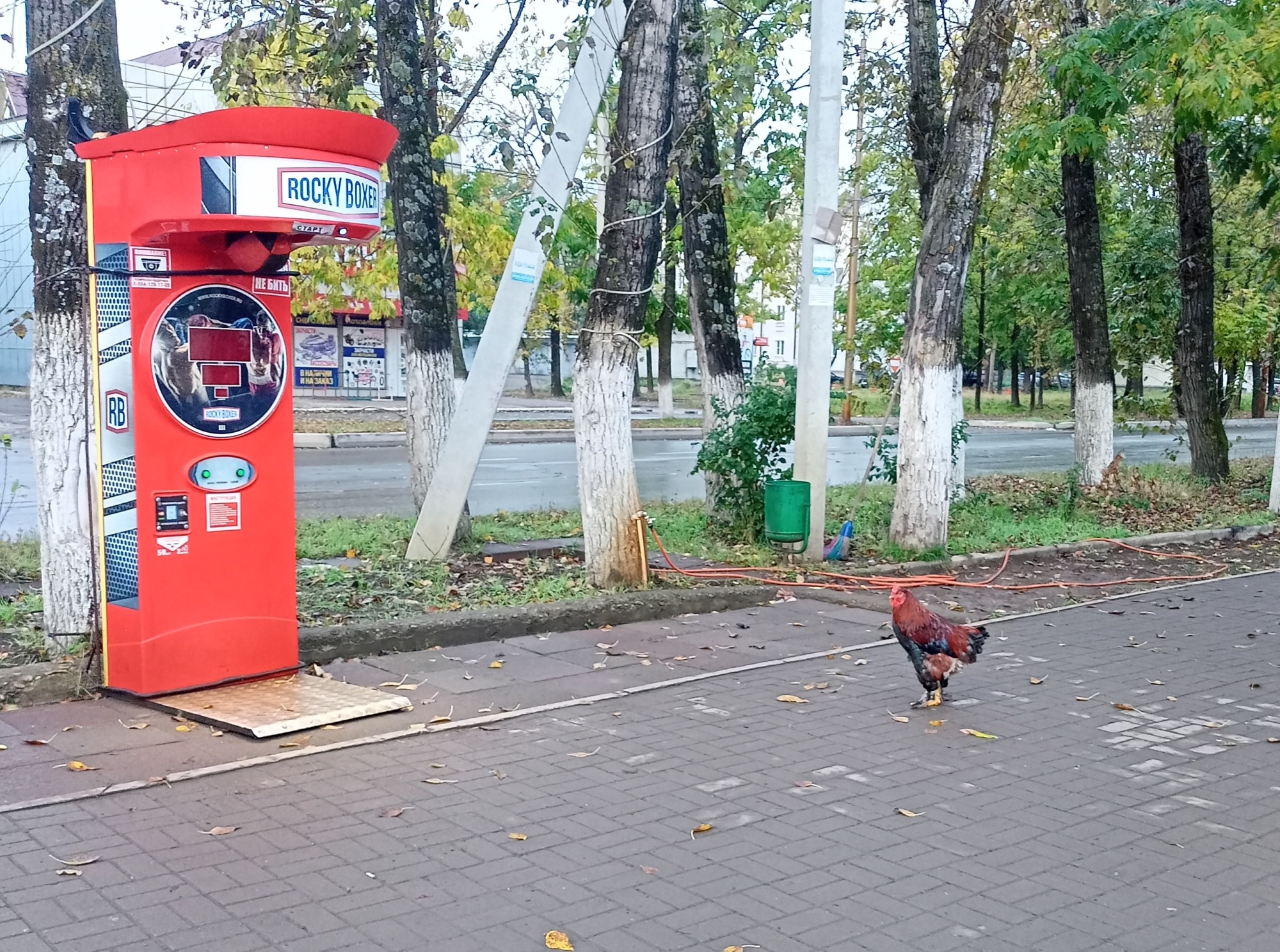 Иллюстрация к публикации