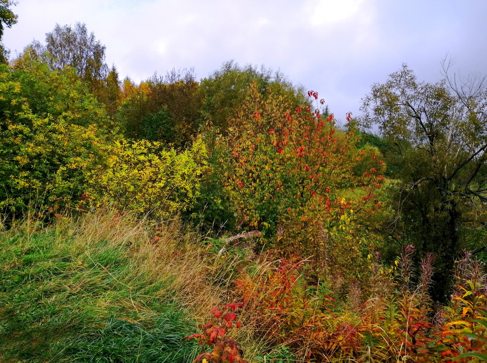 Иллюстрация к публикации