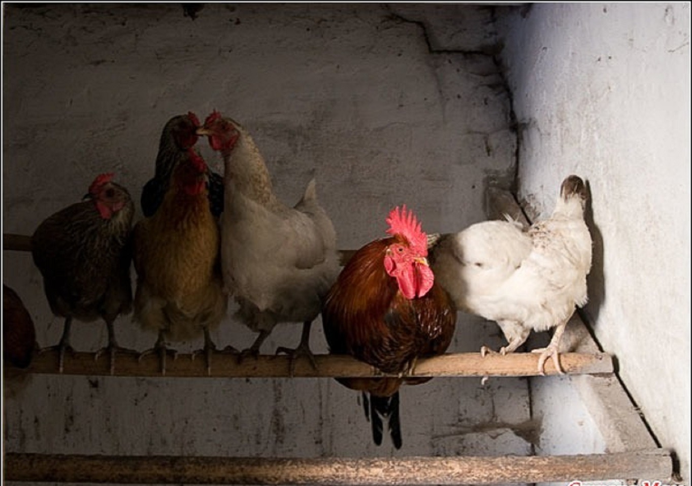 Иллюстрация к публикации