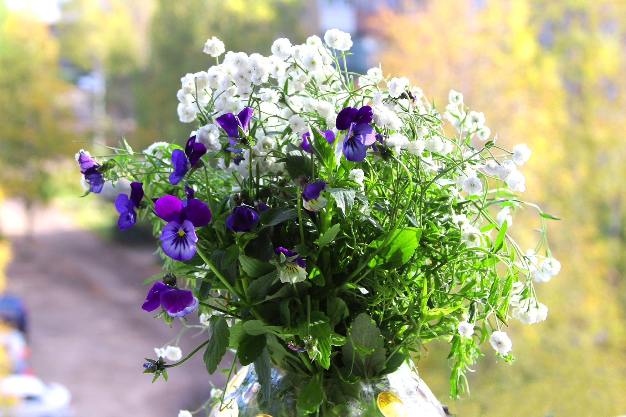 Иллюстрация к публикации