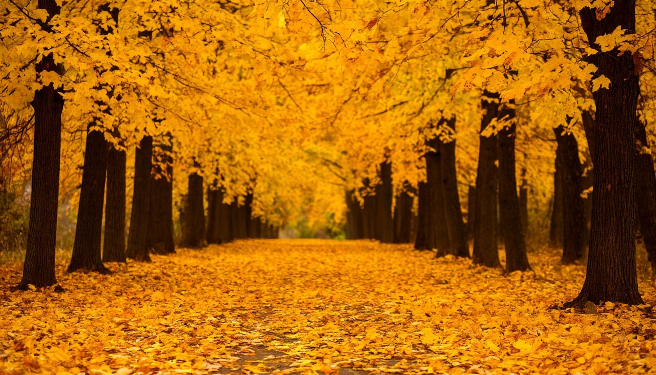 Иллюстрация к публикации