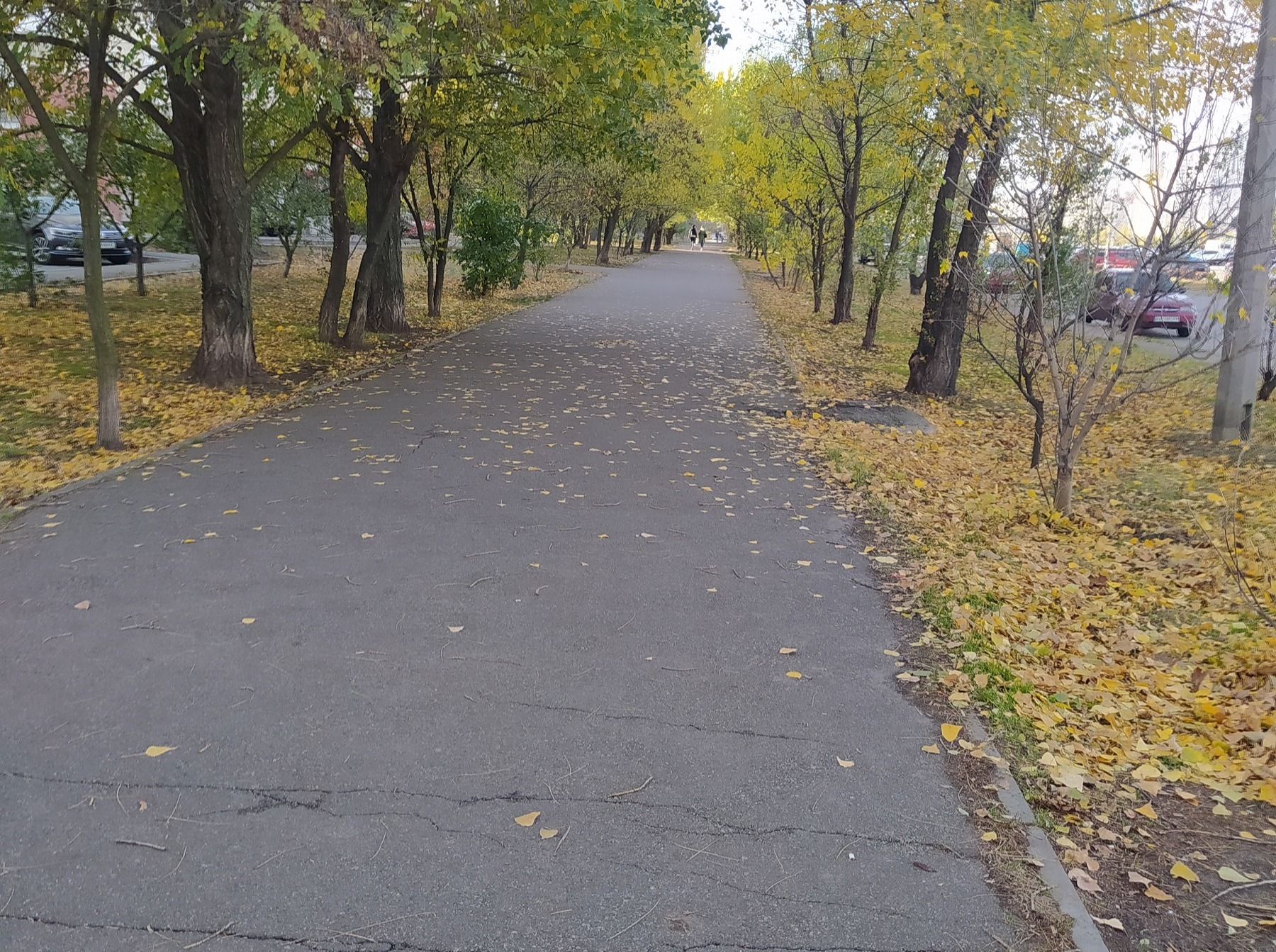 Иллюстрация к публикации