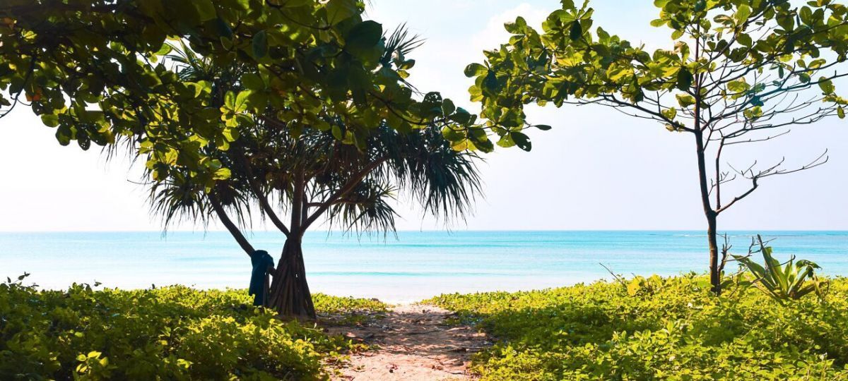 Иллюстрация к публикации