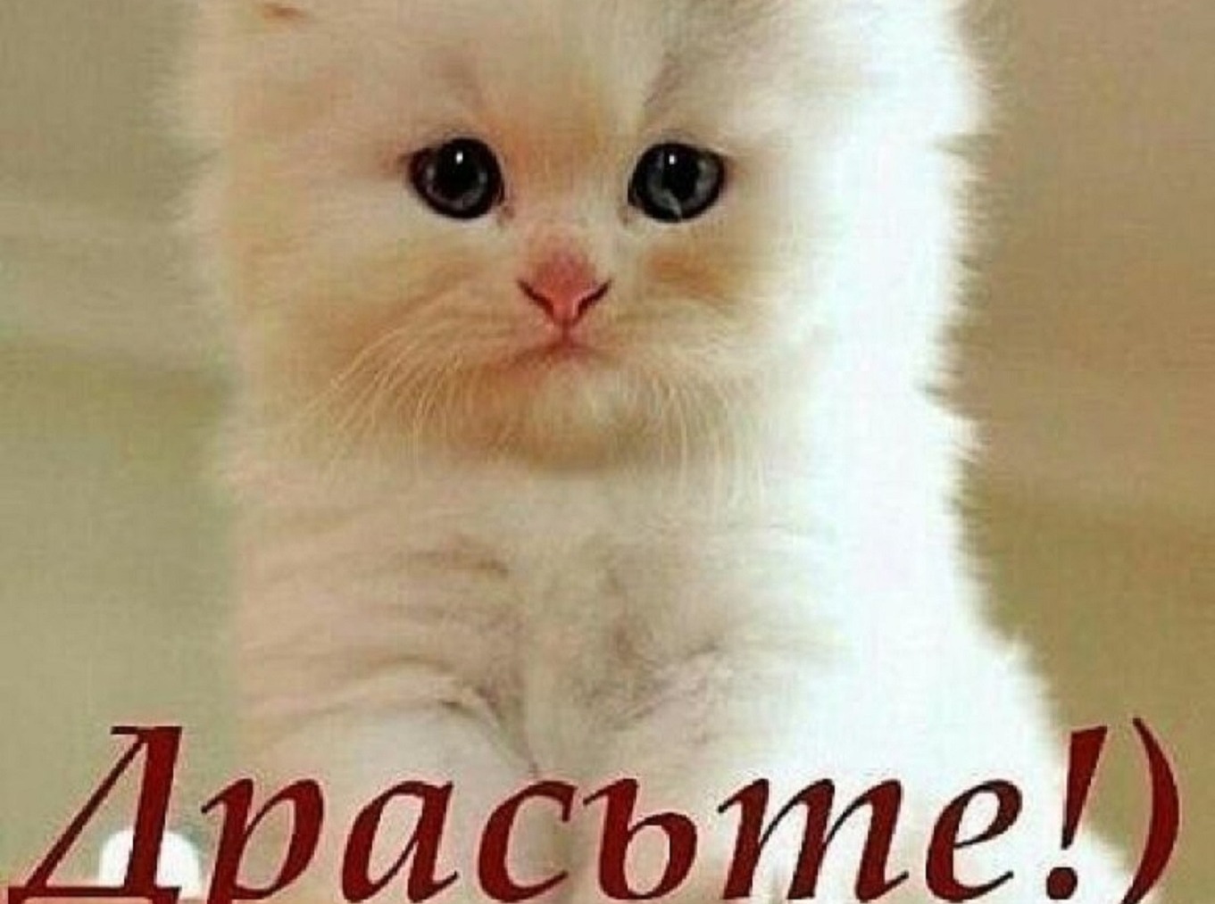 Иллюстрация к публикации