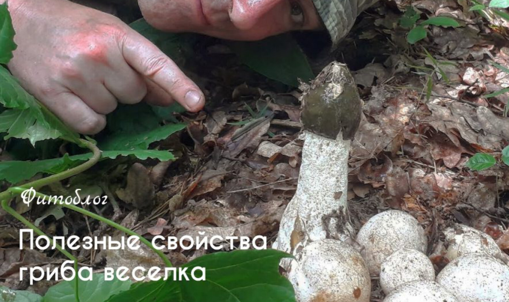 Иллюстрация к публикации