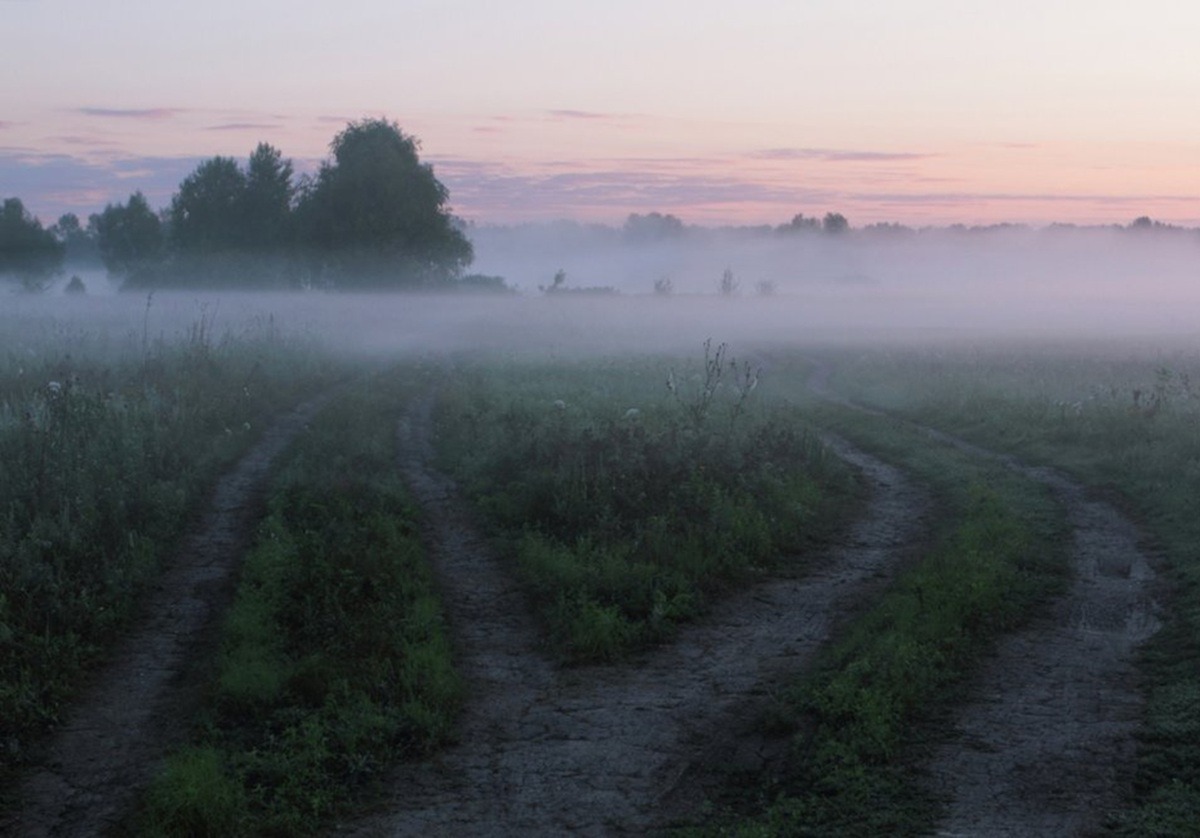 Иллюстрация к публикации