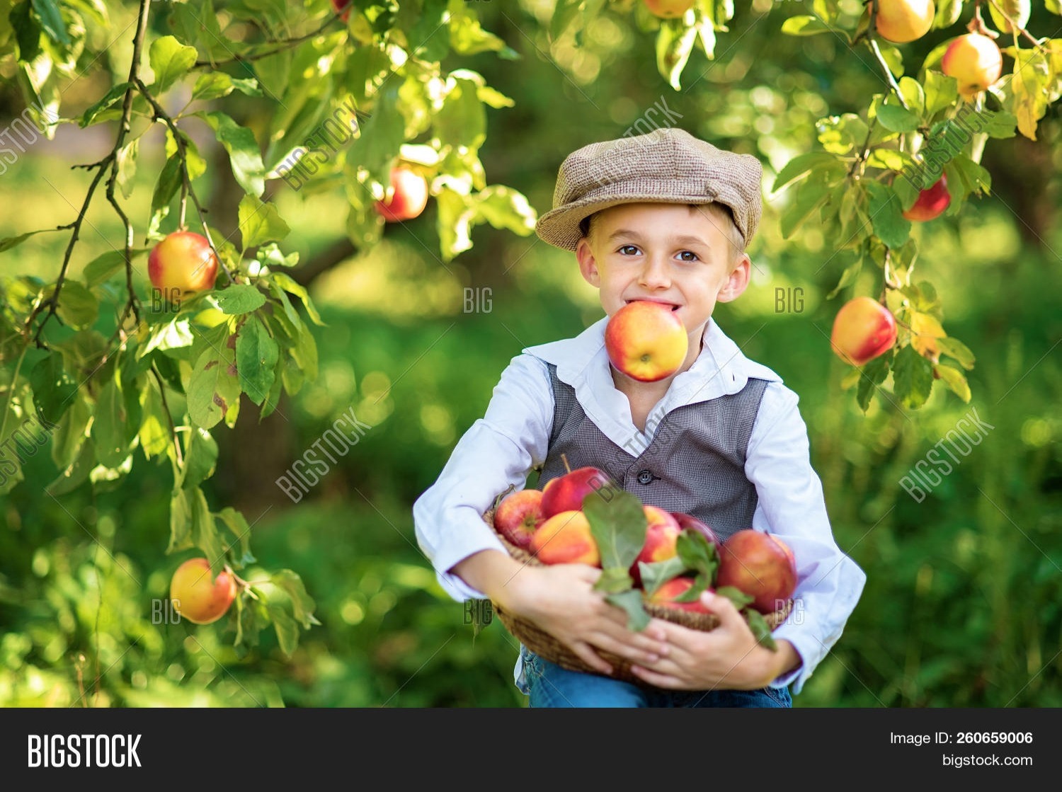 Иллюстрация к публикации