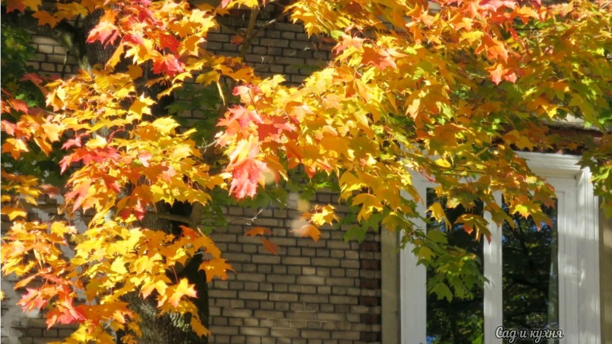 Иллюстрация к публикации