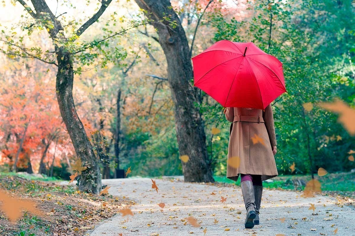 Иллюстрация к публикации