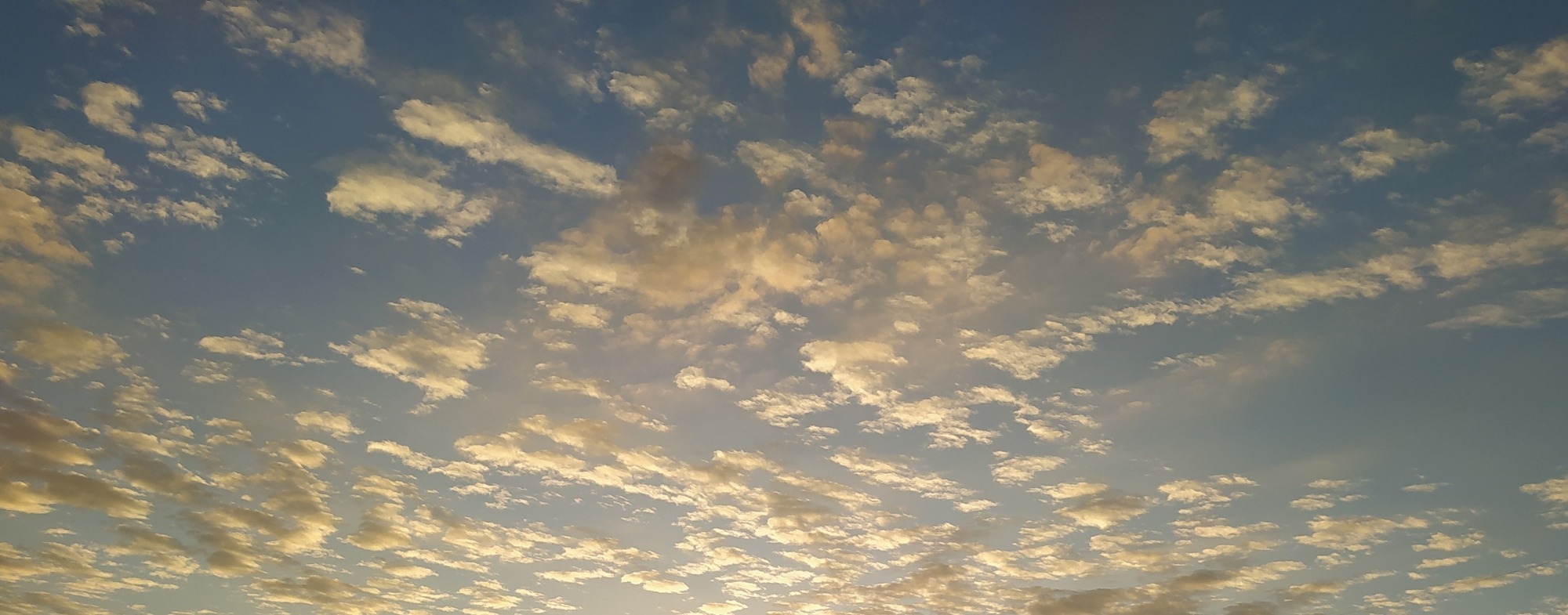 Иллюстрация к публикации