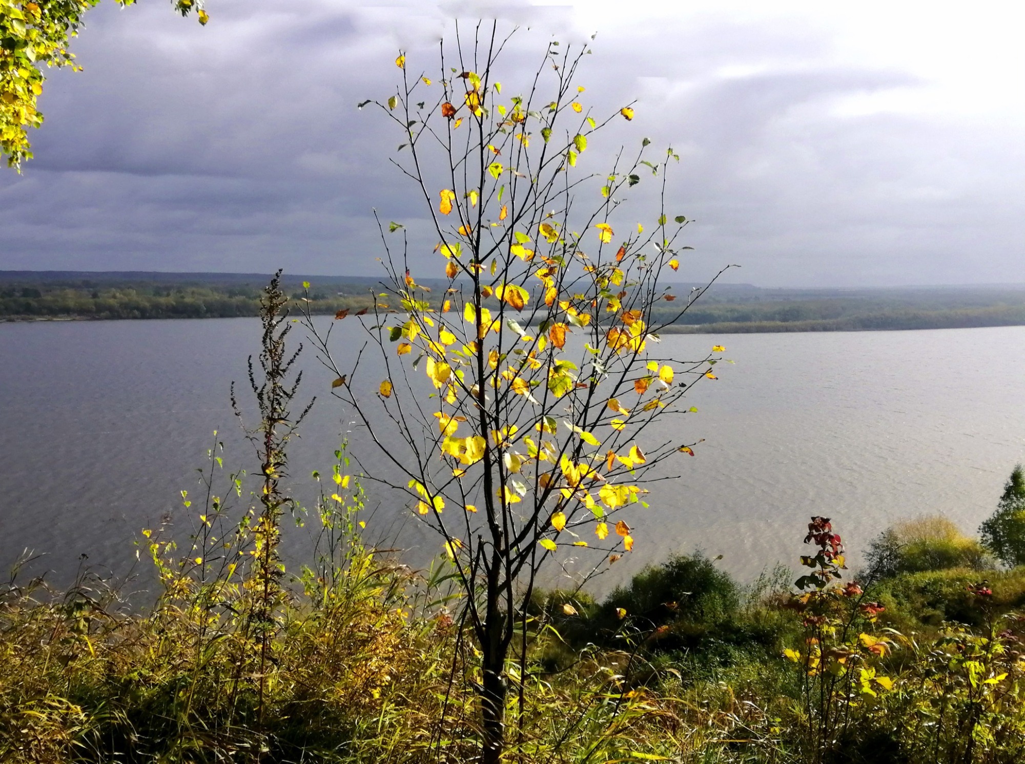 Иллюстрация к публикации