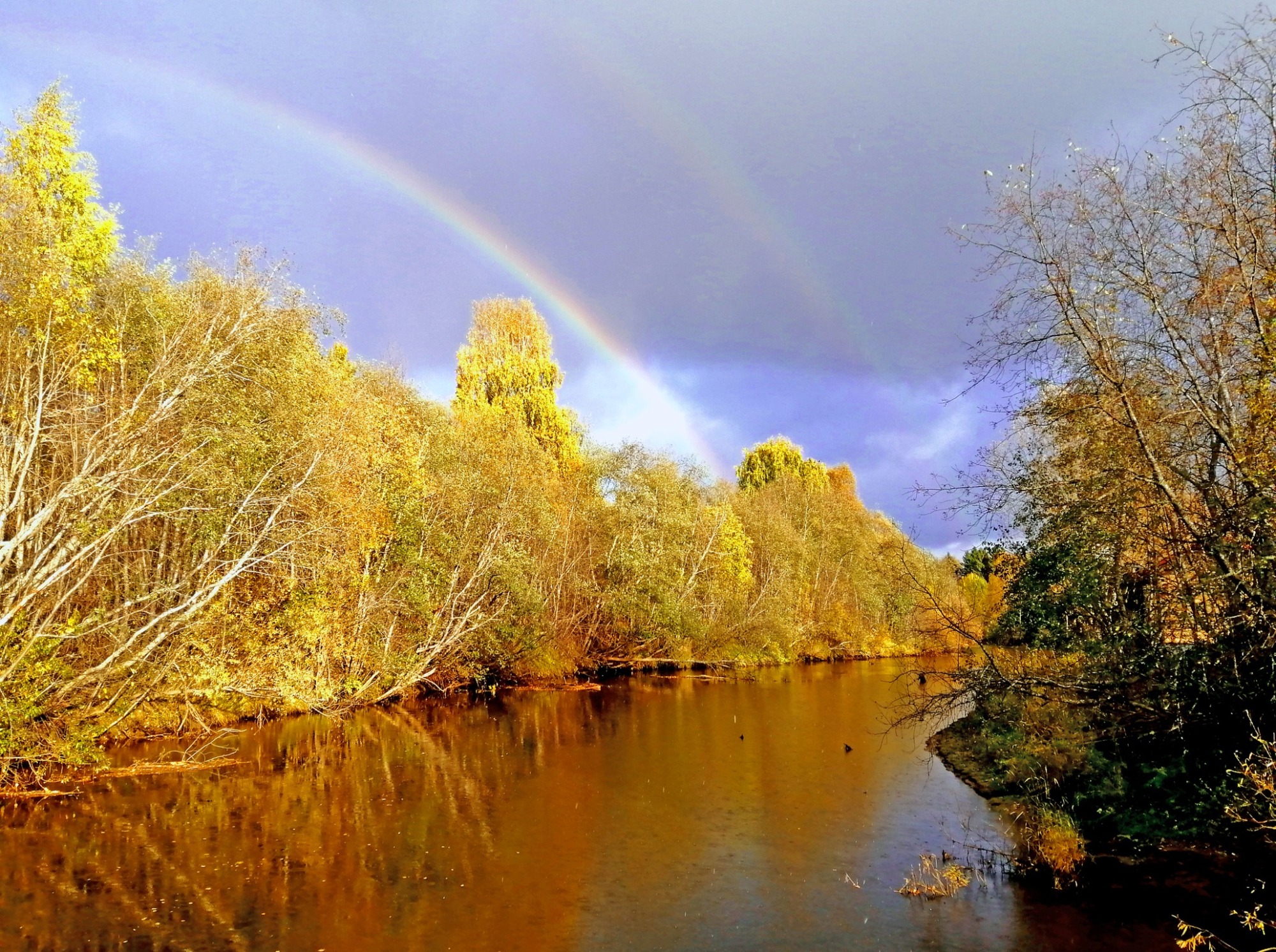 Иллюстрация к публикации