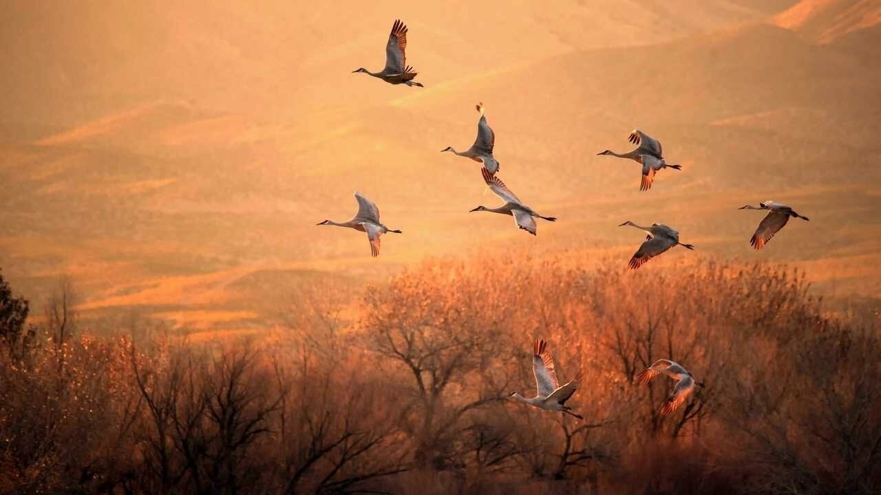 Иллюстрация к публикации