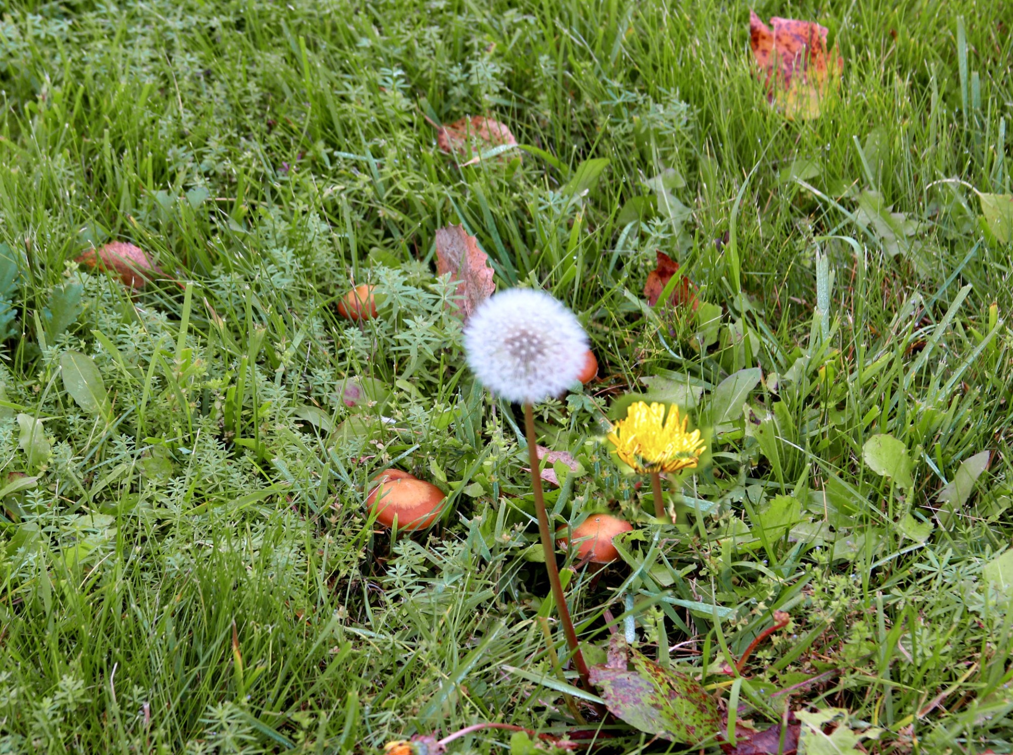 Иллюстрация к публикации