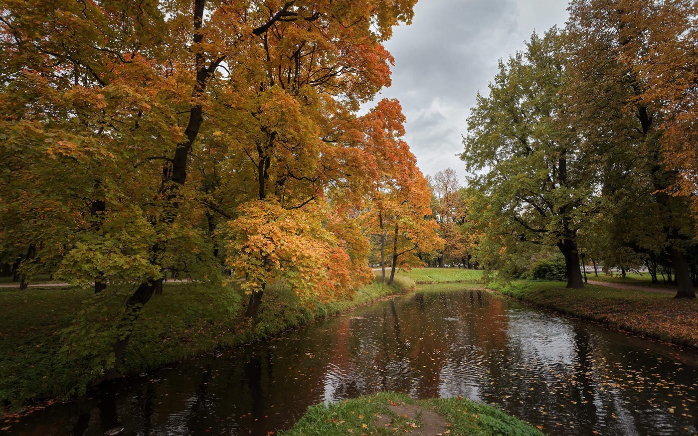 Иллюстрация к публикации
