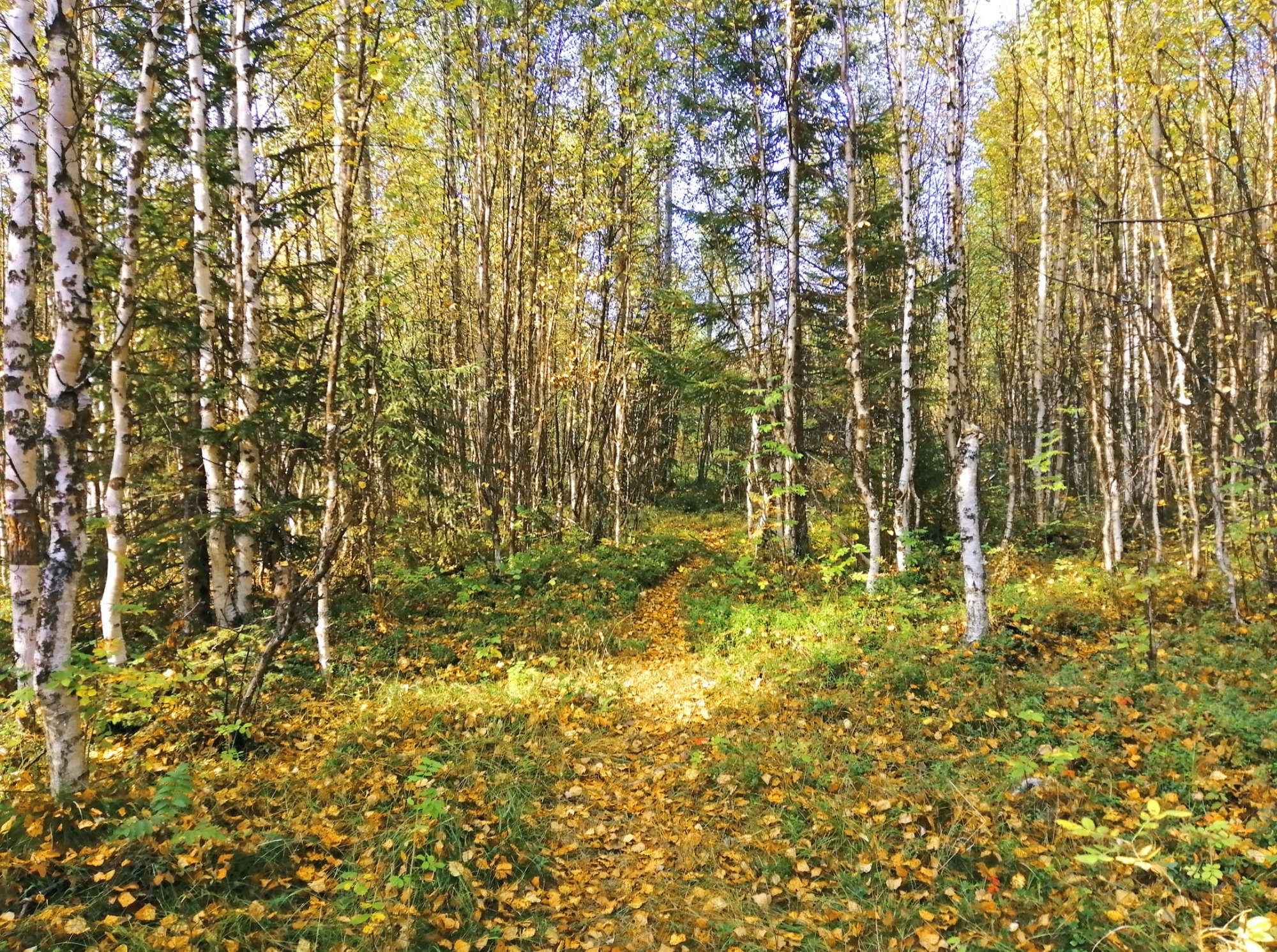 Иллюстрация к публикации