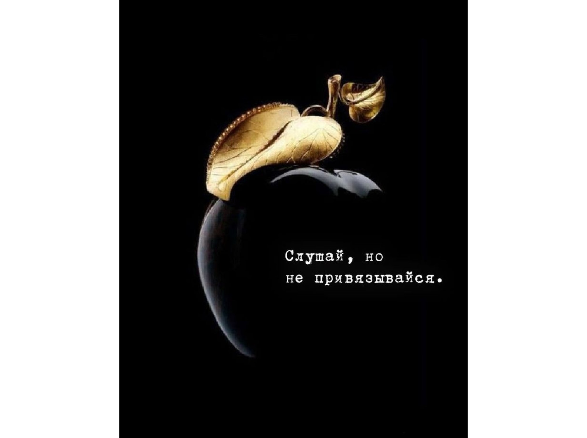Иллюстрация к публикации
