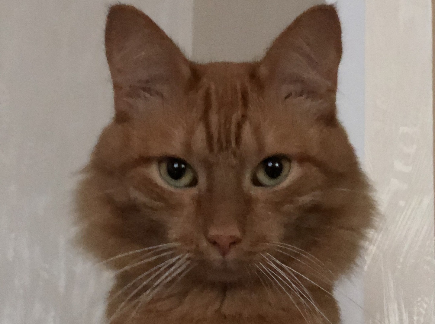 Иллюстрация к публикации