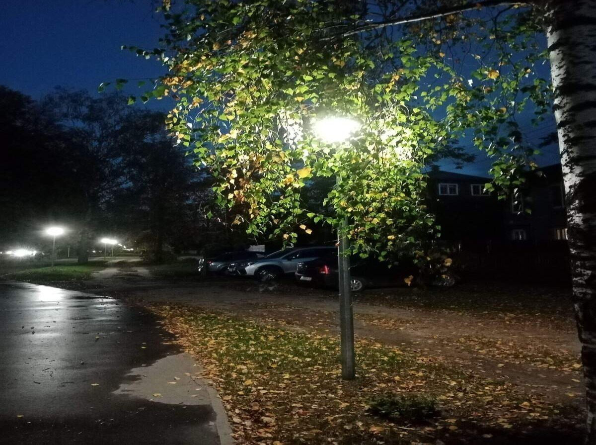 Иллюстрация к публикации