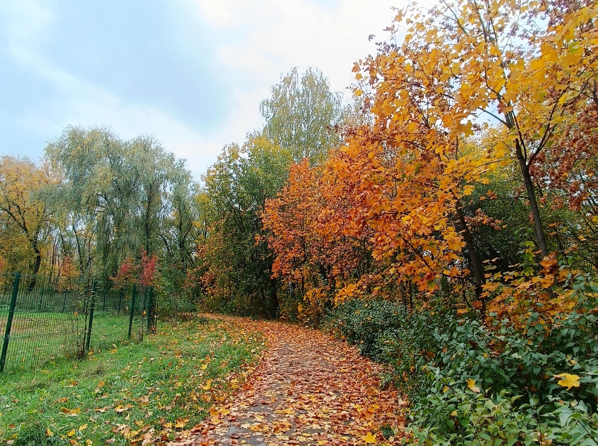 Иллюстрация к публикации