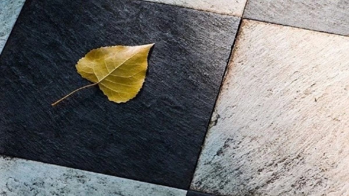 Иллюстрация к публикации