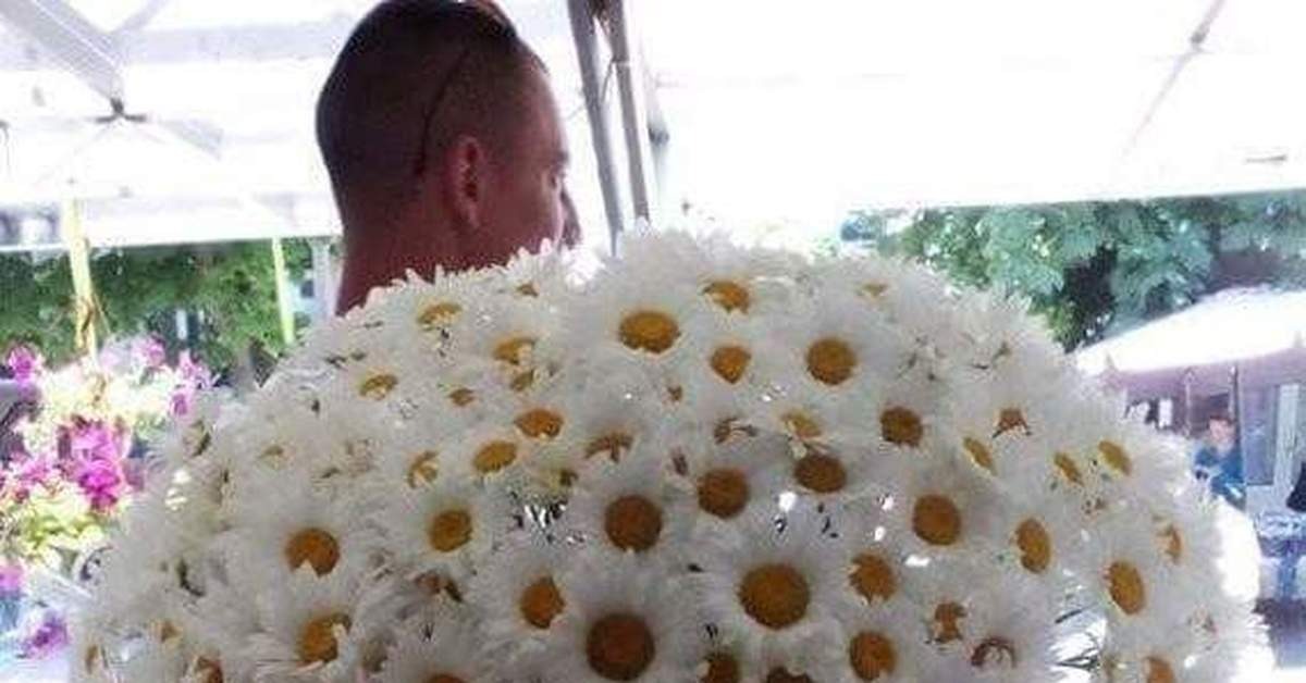 Иллюстрация к публикации