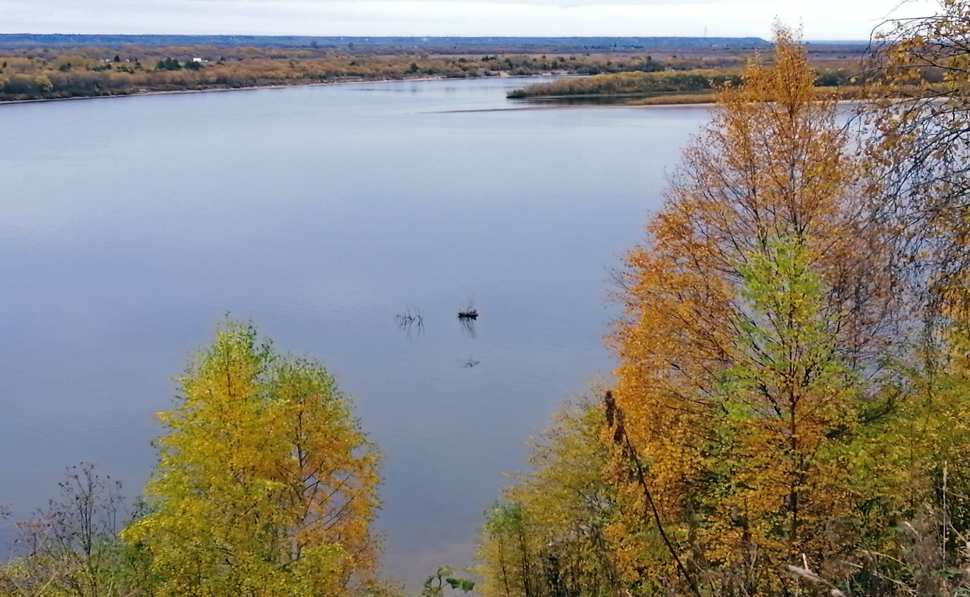 Иллюстрация к публикации